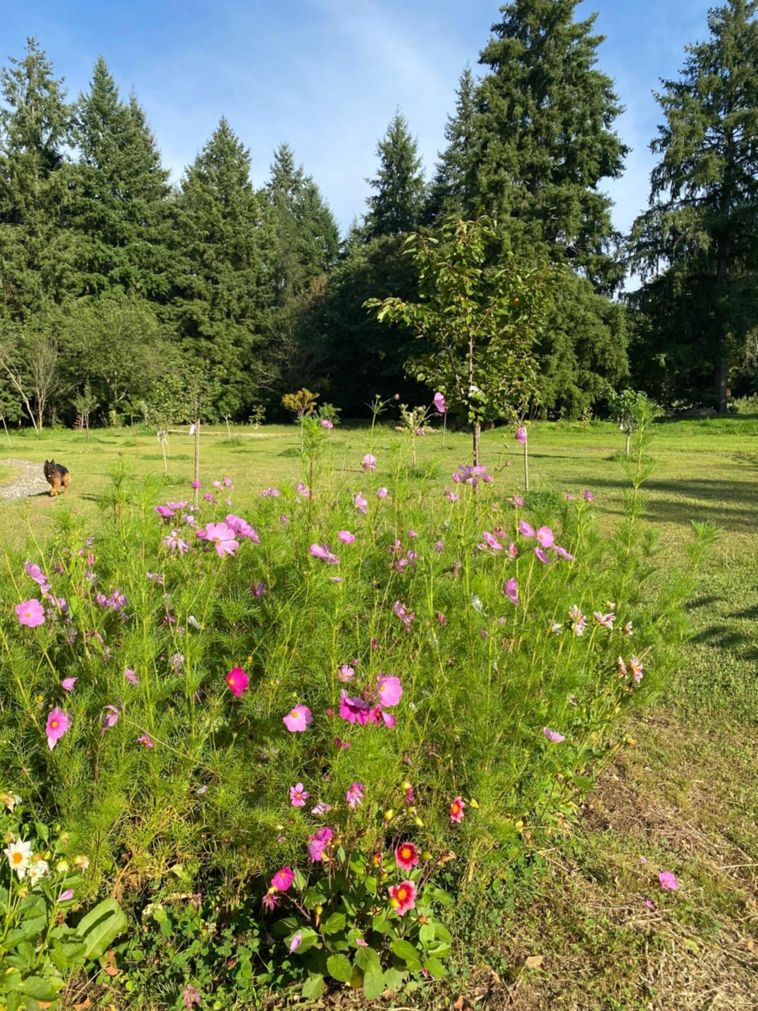 Maison Dans Parc Prive, Sports Et Loisirs Proche Golf Du Coudray Montceaux 勒库德雷·蒙特考克斯 外观 照片