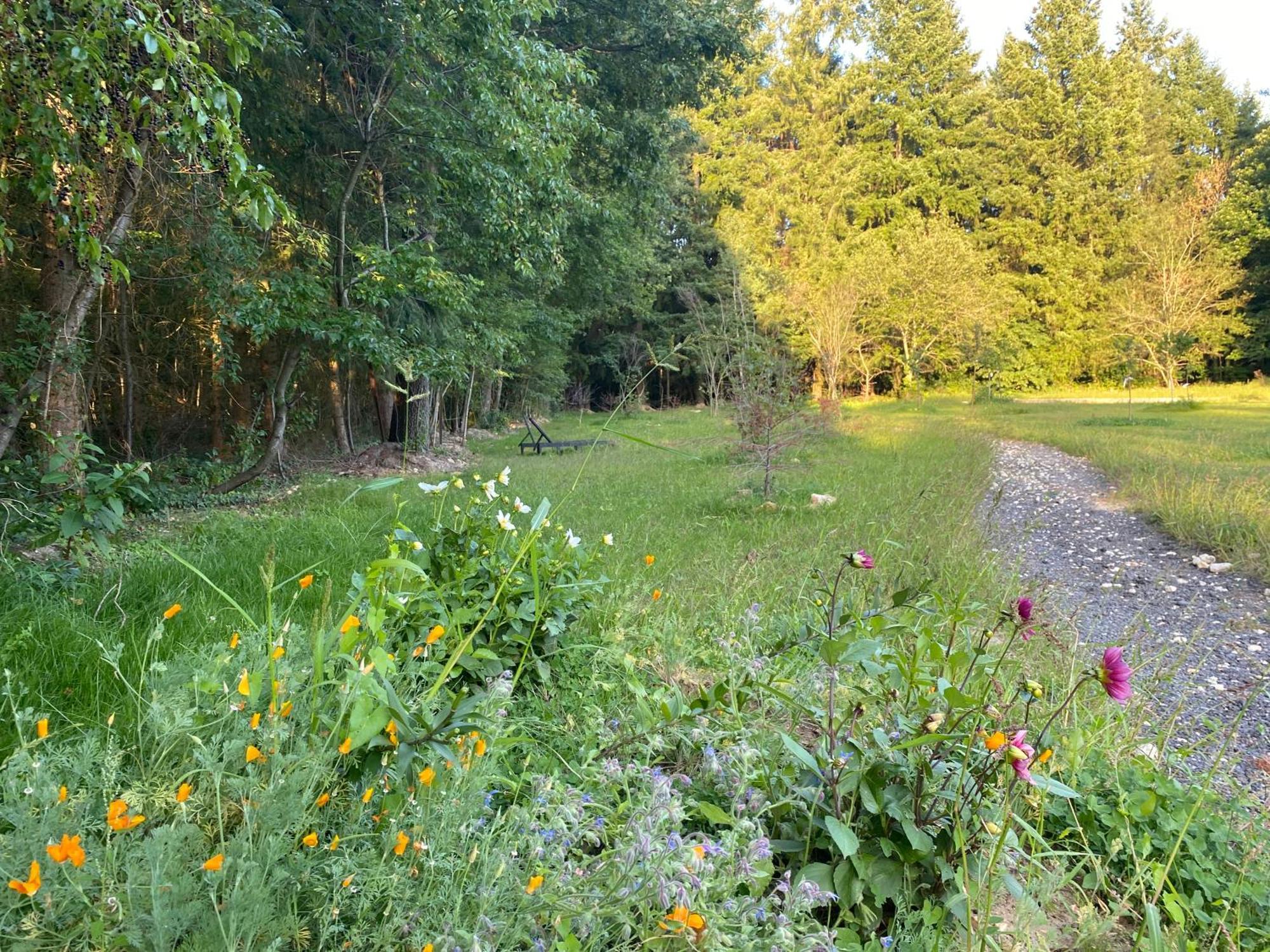 Maison Dans Parc Prive, Sports Et Loisirs Proche Golf Du Coudray Montceaux 勒库德雷·蒙特考克斯 外观 照片